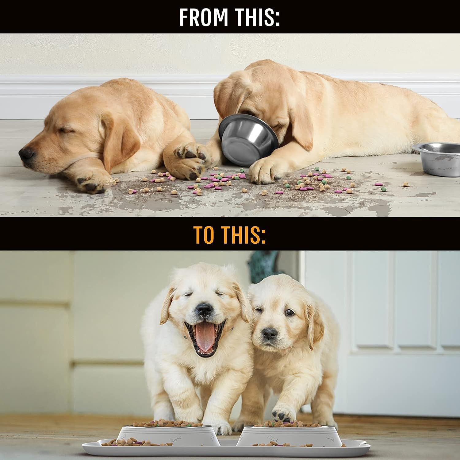 Stainless Steel Dog Bowl Set with No-Spill Design and Skid-Resistant Silicone Mat - Suitable for Small, Medium, and Large Dogs